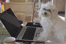 internet marketing business