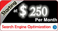 search engine optimizer