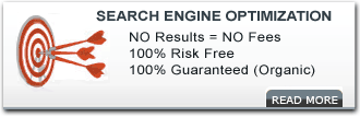search engine optimizer
