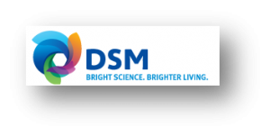 internet marketing academy