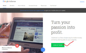 make money online adsense