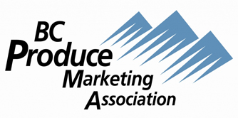 marketing associate